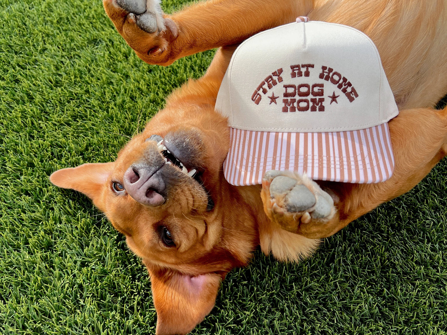 STAY AT HOME DOG MOM HAT