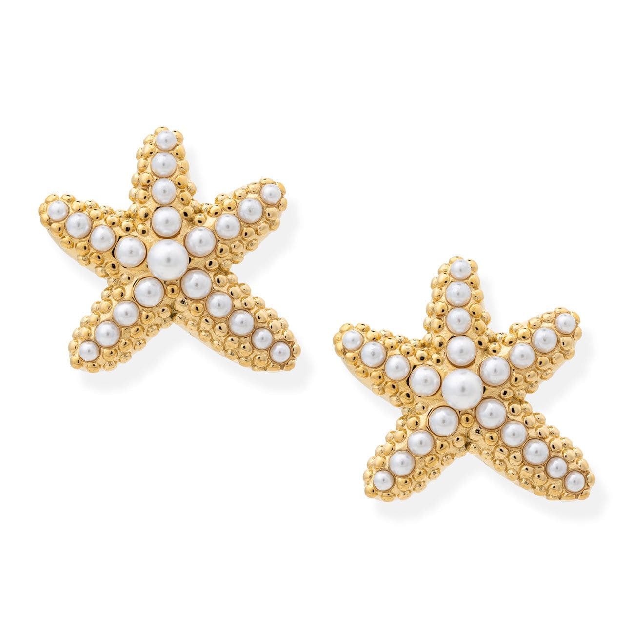STARFISH EARRINGS