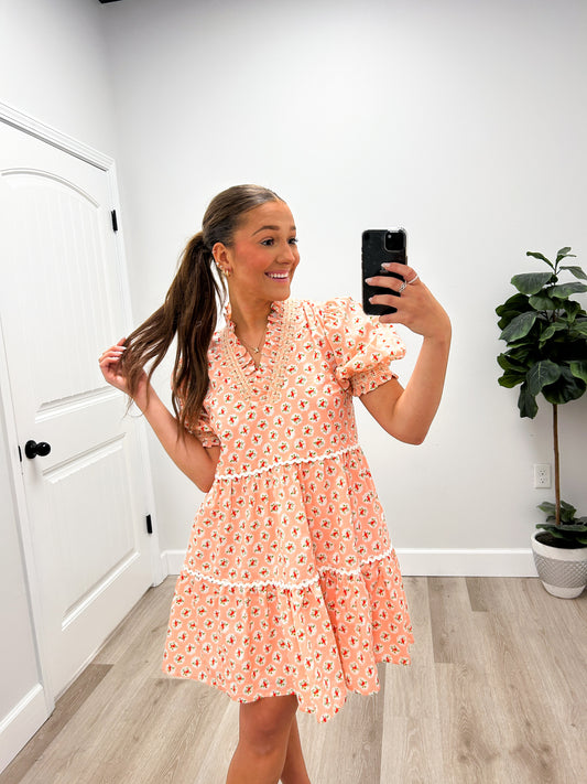 SAYING HELLO FLORAL EMBROIDERED MINI DRESS