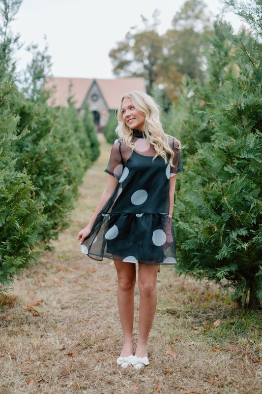 SHEER POLKADOT MINI DRESS