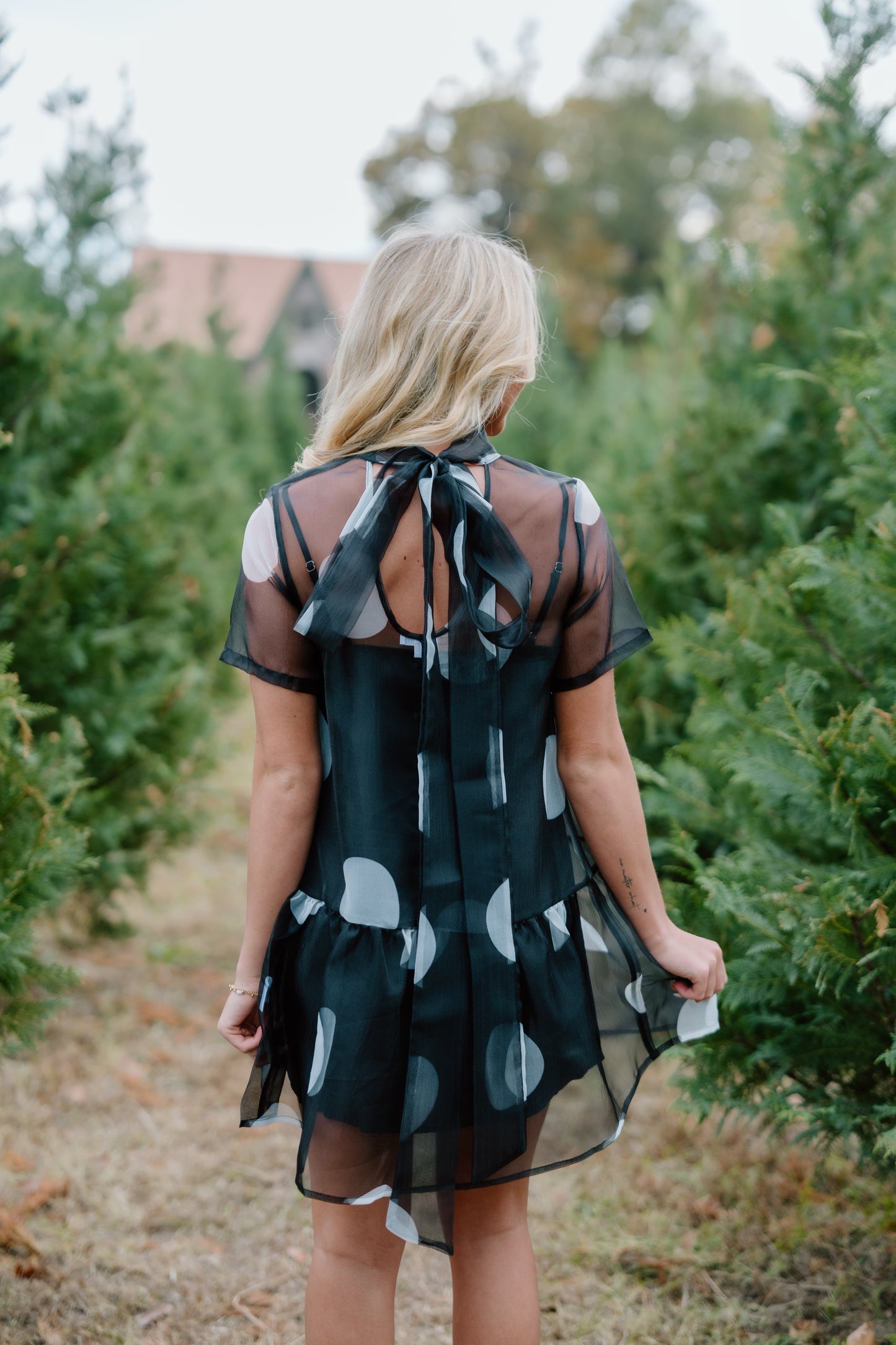 SHEER POLKADOT MINI DRESS