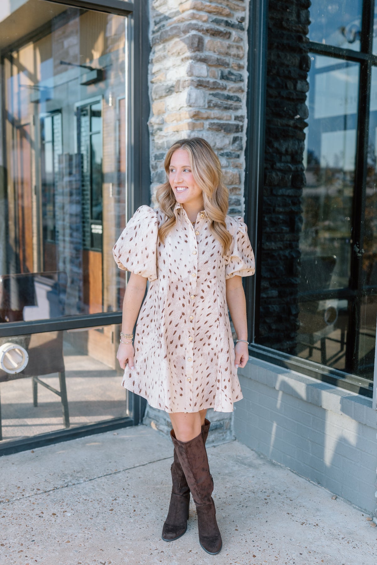 EVIE PRINTED PUFF SLEEVE DRESS