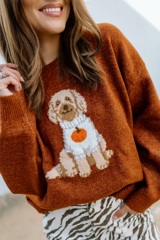 PUMPKIN DOODLE SWEATER TOP