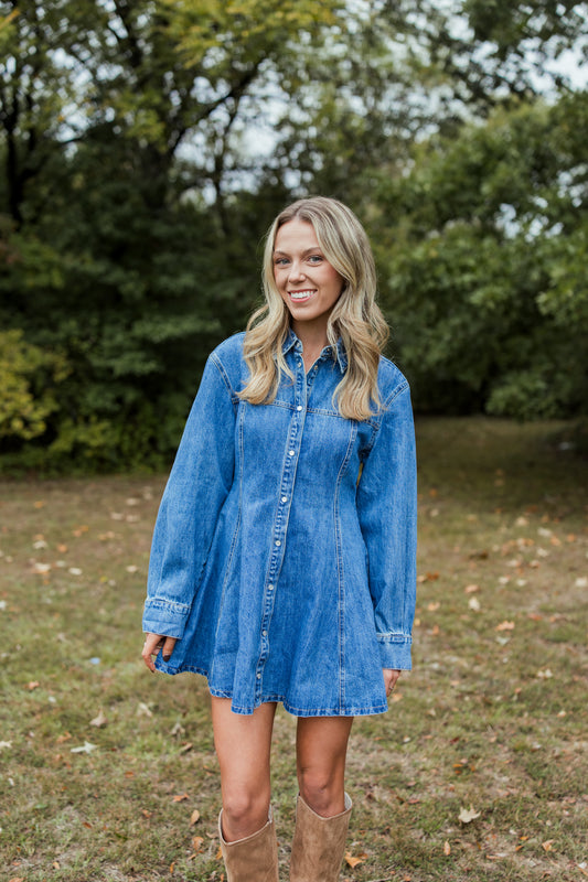 ANGELINA DENIM BUTTON DRESS