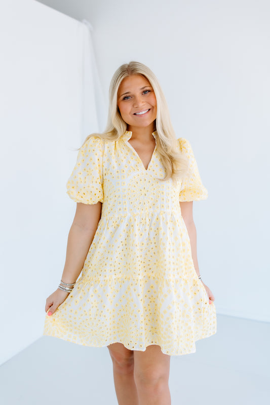 SHAYLA EYELET MINI DRESS