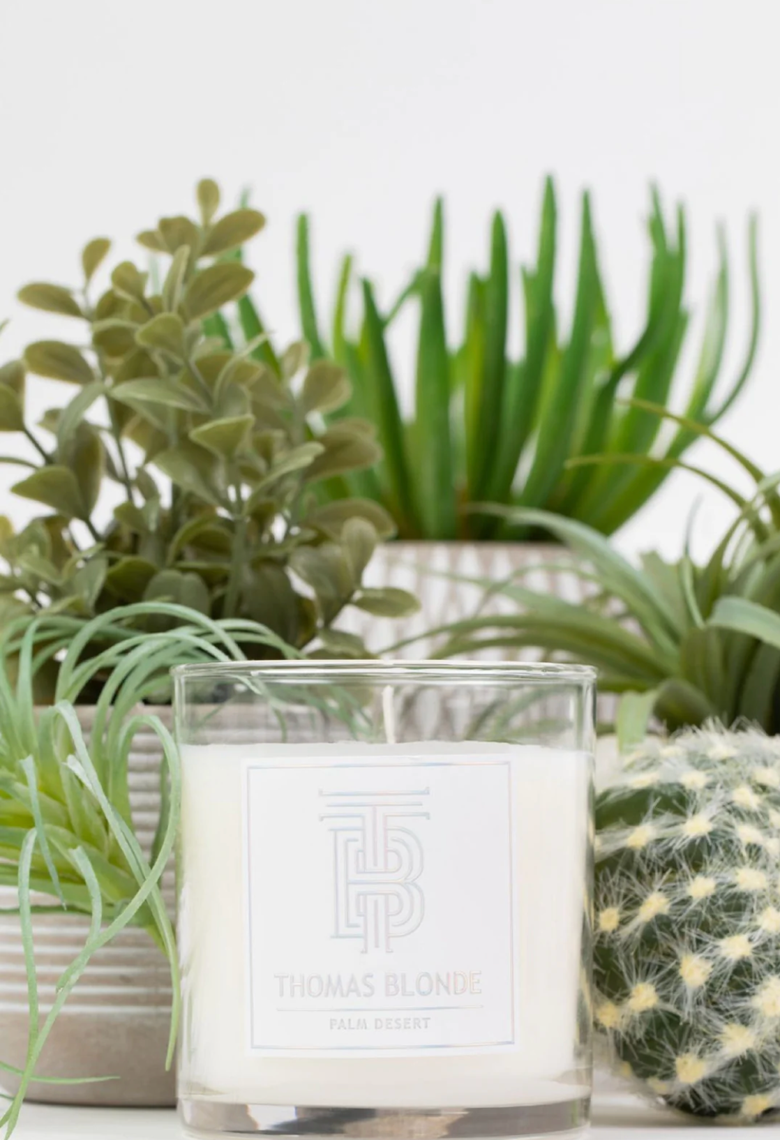THOMAS BLONDE PALM DESSERT CANDLE